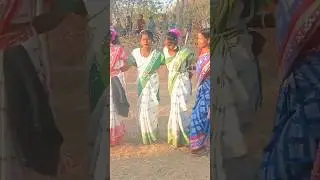 Mage Porob Song 2026 || new ho munda video song || #newhosong #shorts #shortvideo #hosong #hovideo