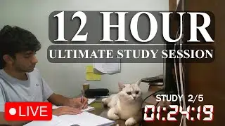📚12-Hour Study With Me | 100-Day Study Challenge | 🌧️rain sounds for focus| Day 6/100