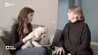 Cosa c'&egrave; dietro il successo di un'app di pet sitting e house sitting - Play Digital