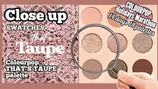 THAT'S TAUPE palette SWATCHES | COLOURPOP | Close Up
