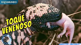 Toque Venenoso I T&aacute;cticas Indomables: La Gu&iacute;a Definitiva De La Supervivencia Salvaje Cap&iacute;tulo 3