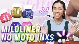 Распаковка Zebra Mildliner No Moto Inks