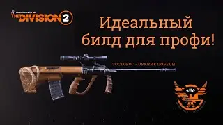 Tom Clancy’s The Division 2. Толсторог. Идеальный билд для одинокого волка. #игры #шутеры #division2