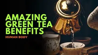 Top 10 Amazing Health Benefits of Green Tea | The Human Body