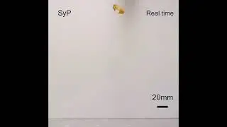 Click beetle-inspired robots jump using elastic energy