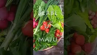 Berbe u maju / Harvest in May #shorts #short #may #gardening #harvest #nature #organic #2024