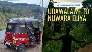 Ella Sri Lanka Travel Vlog | Exploring Ella | Nine Arches Bridge