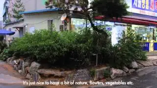 23 Korean Gardens