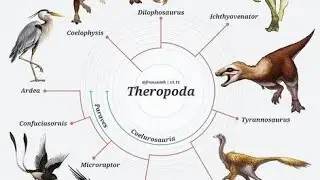 Das waren die 10 gr&ouml;&szlig;ten RAUBSAURIER (Theropoden, fleischfressende Dinosaurier) der Erdgeschichte!