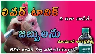 లివర్ టానిక్ ని ఇలా వాడితే చాలా రోగాలను ముందుగానే అరికట్టవచ్చు || Uses of liver tonic