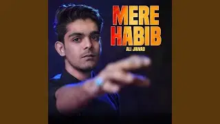 Mere Habib
