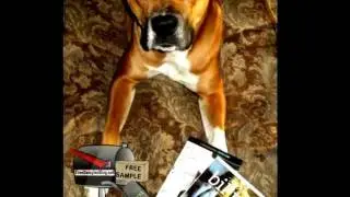 Free Sample BiPro Whey Protein