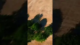 Hot summer FPV fun. 🥵☀️ #drone #fpv #fpvlifestyle #fpvaddiction