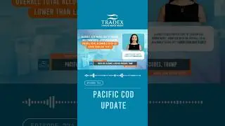 3MMI - PACIFIC COD: TAC DOWN, A. COD PRICE PRESSURES, TRUMP #seafoodindustry #commercialfishing #cod