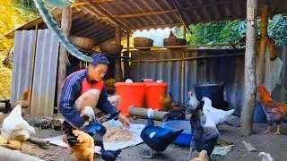 Biến đất hoang thành trang trại,anh ấy đã vất vả như thế nào 