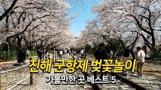 진해 군항제 벚꽃놀이 가볼만한 곳 베스트 5