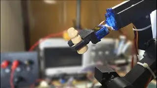 I built a Robotic Arm because my real one is lazy !!!