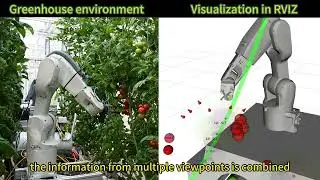 De-leafing and Harvesting Robot for Tomato