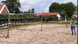 Jillz-Ludine (Numero Uno x Lux x Voltaire)