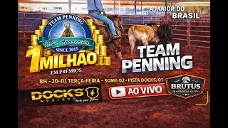 14&ordm; TEAM PENNING N.S APARECIDA