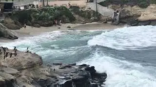 Washing machine cove