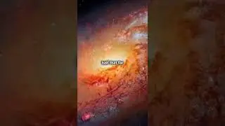 Zeno's paradox explained- ScienceFacts