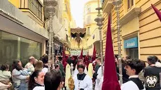 Amargura en c/ San Francisco MULTICÁMARA, Domingo de Ramos Cádiz 2025