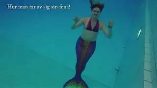 How to take of your fin