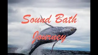 Sound Bath Journey 80 Mins - with Bowls, Sitar, Monochord, Whale Songs, Native American Flute