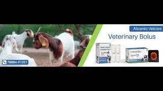 Veterinary Franchise Company | Veterinary Products Franchise | Animal Medicine Franchise