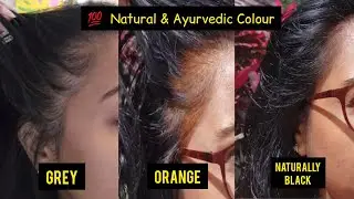 Grey बालों का रंग बदलें आसानी से | Ayurvedic और Natural तरीके  | 💯 Honest No Chemicals