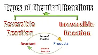Reversible and Irreversible Reactions Chemistry | Chemical Reactions Types Chemical Equilibrium