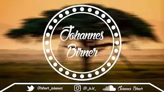 Felix Jaehn, Mike Williams - Feel Good (Johannes Birner Remix)
