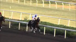Blinkers On Horse Racing Partnerships Mass Transit 12/17/13