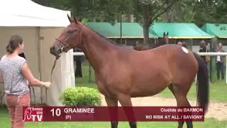 Chaser Day 2018 : Lot 10 - GRAMINEE