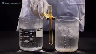 Ảnh hưởng của nhiệt độ đến c&acirc;n bằng  NO2 N2O4