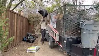 Yard debris removal in Dallas, Texas!!