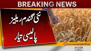 CM Sindh in Action | New Wheat Release Policy Announced | Big Update for Farmers