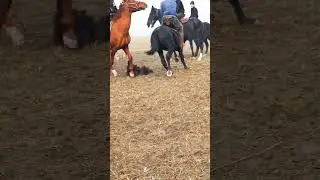ULAG'DI  YAXSHISI BOLDI