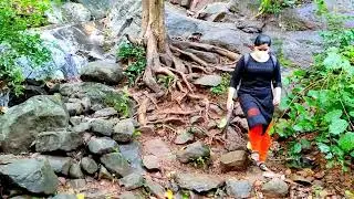Aruvikkuzhi Waterfalls Thiruvalla