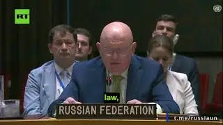 Russia Condemns Israeli Strikes on Syria: UN Security Council Speech (2025)