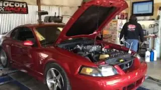 03 Cobra Dyno 15 psi Stock Blower