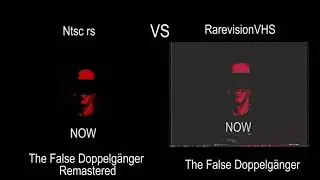 Ntsc-rs VS RarevisionVHS
