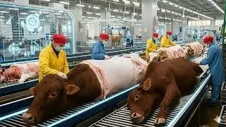 Why Wagyu Beef Costs $200/lb But Regular Beef Costs $8 | Inside Processing Facility
