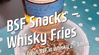 Cooking black soldier fly larvae with whisky