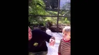 Ian, uncle Sonny and Mr Gecko