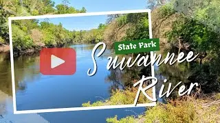 Suwannee River State Park near Live Oak, Florida #suwannee #floridaoutdoors #floridahistory