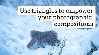Use triangles to empower your photographic compositions