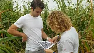 Vesperman Farms