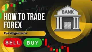 Forex Trading Explained in 5 Minutes (Beginner Guide)